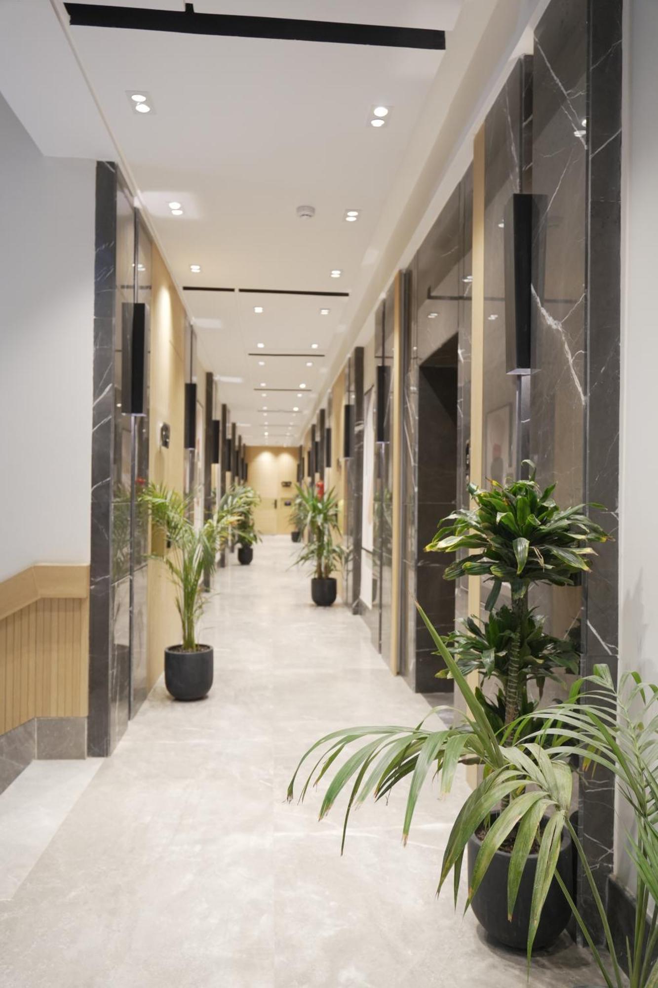 Cozy, Modern, Furniture Riyadh